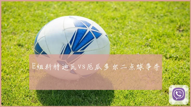 E组科特迪瓦vs厄瓜多尔二点球争夺