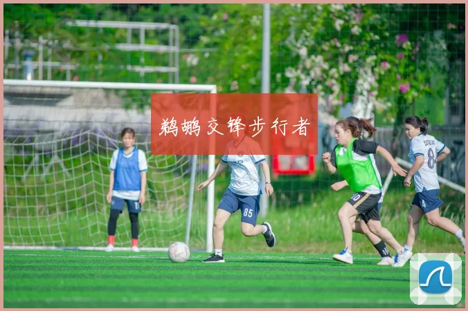 鹈鹕交锋步行者