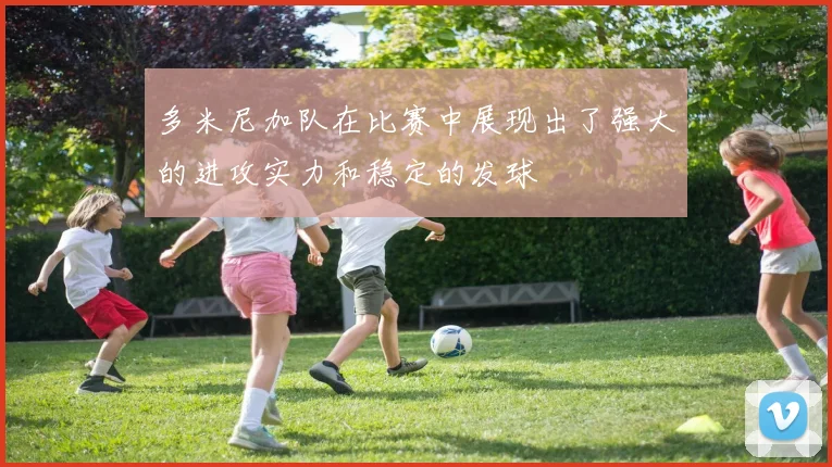 多米尼加队在比赛中展现出了强大的进攻实力和稳定的发球