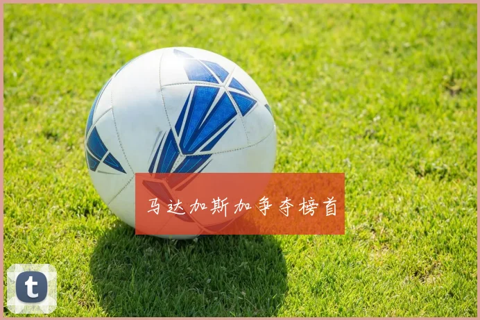 马达加斯加争夺榜首