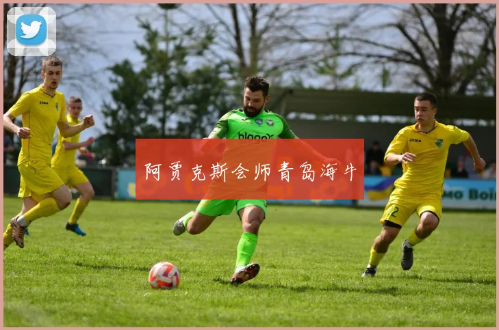 阿贾克斯会师青岛海牛