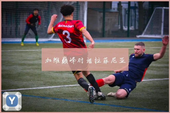加维巅峰对话拉菲尼亚