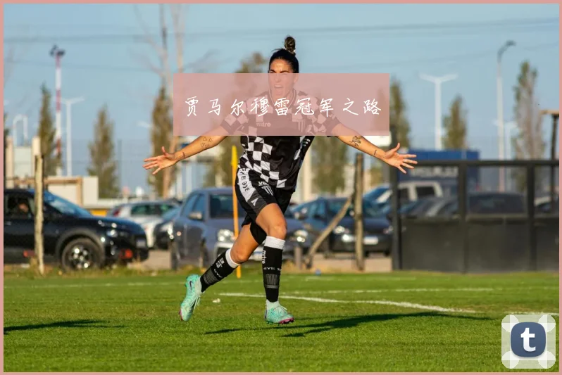 贾马尔穆雷冠军之路