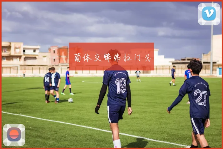 葡体交锋弗拉门戈