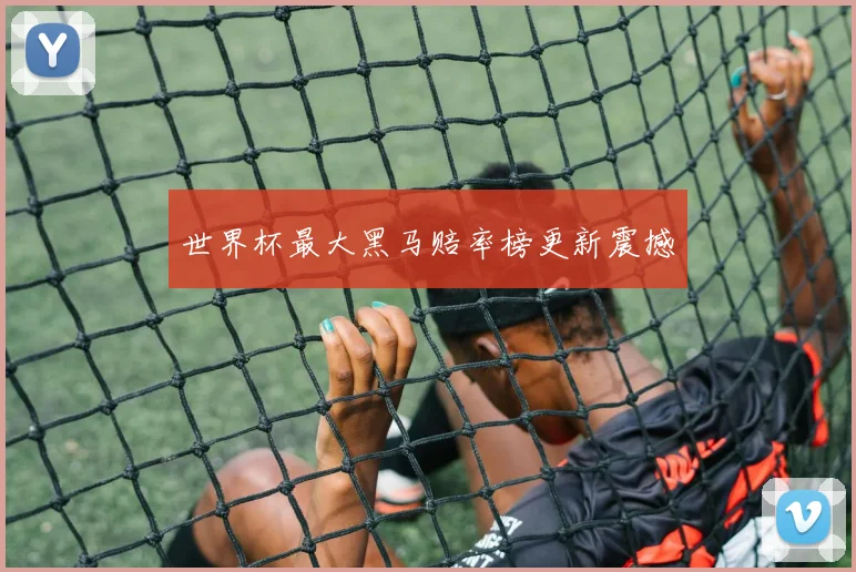 世界杯最大黑马赔率榜更新震撼