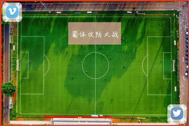 葡体攻防大战