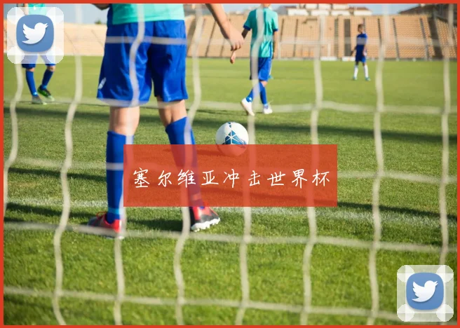 塞尔维亚冲击世界杯