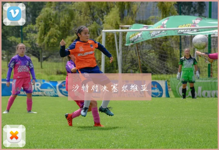 沙特对决塞尔维亚