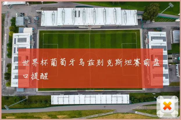 世界杯葡萄牙乌兹别克斯坦赛前盘口提醒