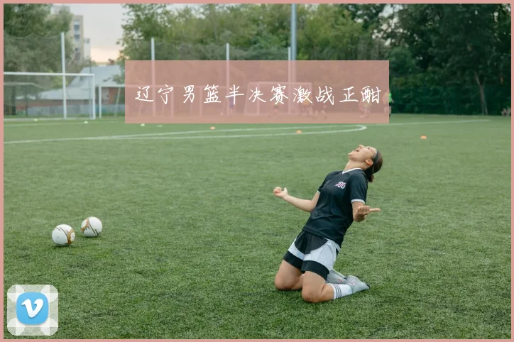 辽宁男篮半决赛激战正酣