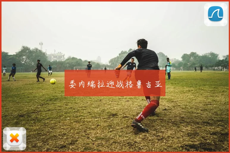 委内瑞拉迎战格鲁吉亚