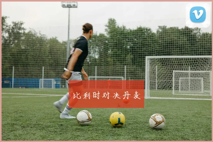 比利时对决丹麦