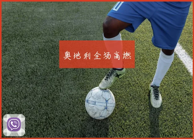 奥地利全场高燃