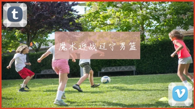 魔术迎战辽宁男篮