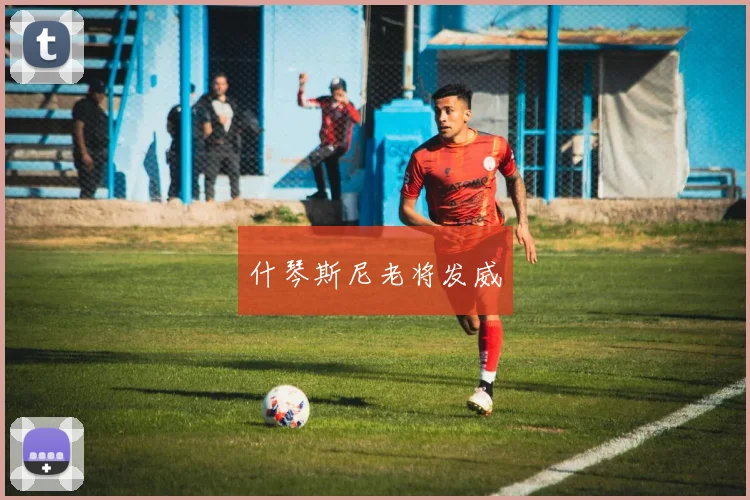 什琴斯尼老将发威