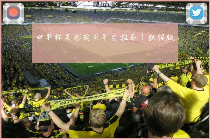 世界杯足彩购买平台推荐｜教程版