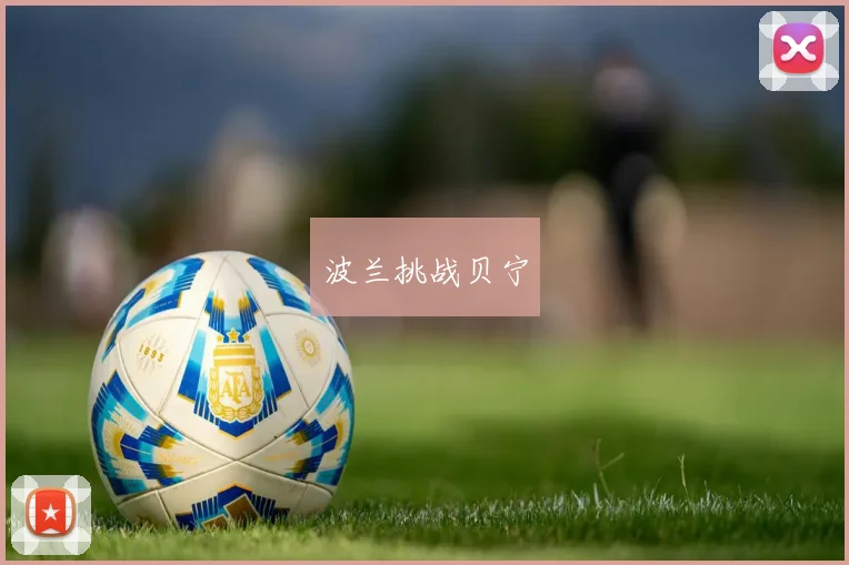 波兰挑战贝宁