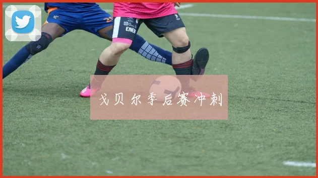 戈贝尔季后赛冲刺