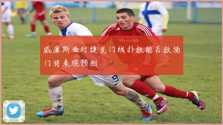 威廉斯面对捷克门线扑救能否救场门将表现预测