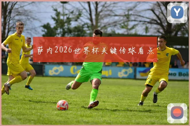 萨内2026世界杯关键传球看点