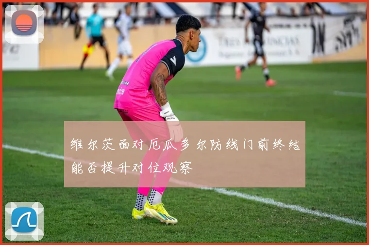维尔茨面对厄瓜多尔防线门前终结能否提升对位观察