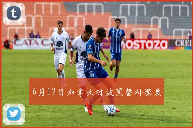 6月12日加拿大对波黑替补深度