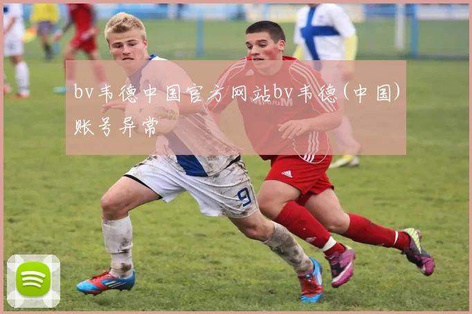 bv韦德中国官方网站bv韦德(中国)账号异常